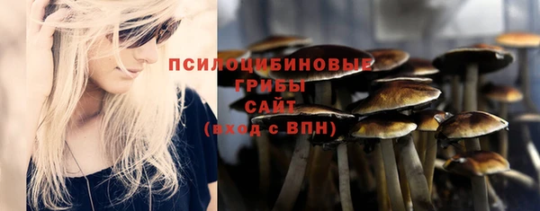 дживик Абинск