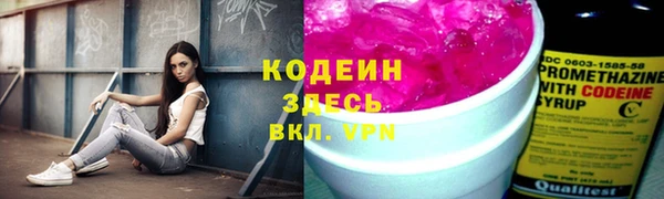 дживик Абинск