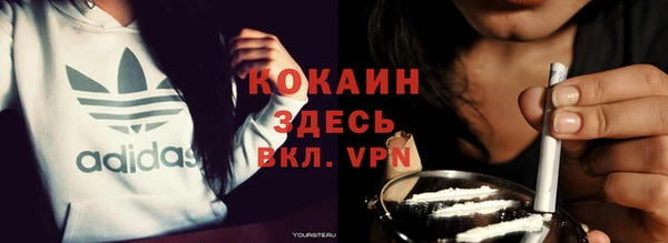 дживик Абинск