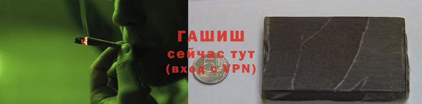 мяу мяу мука Абаза