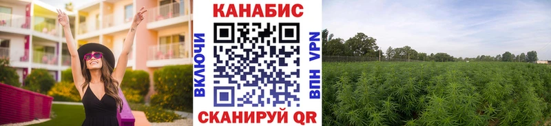Бошки марихуана Ganja  Орск 
